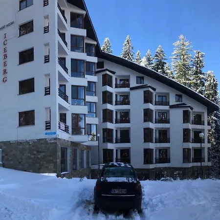 Silver Box * Pamporovo